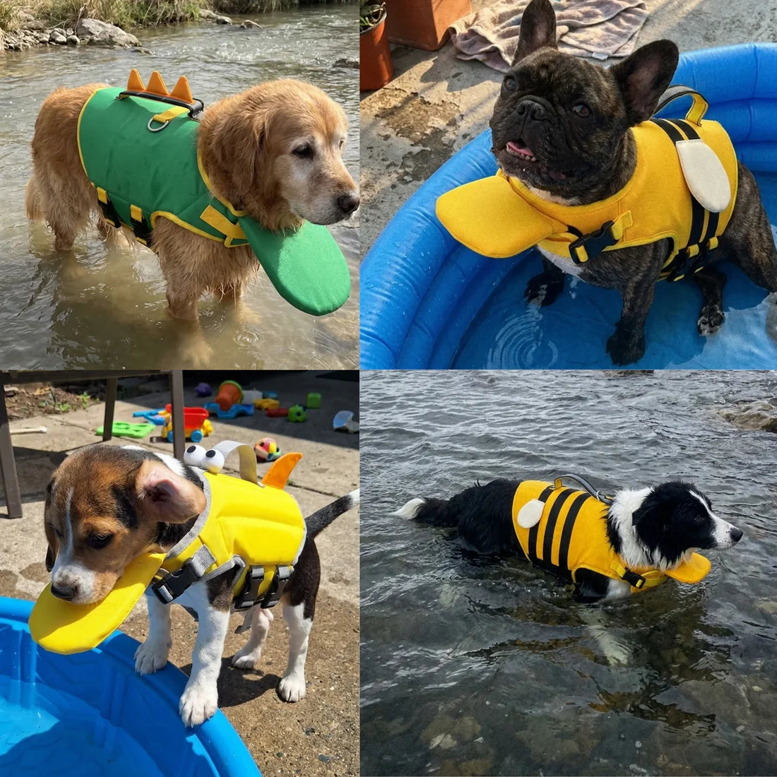 Bouée pour animaux
