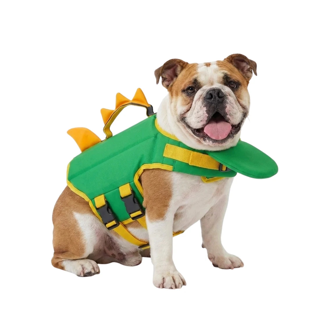 Bouée pour animaux