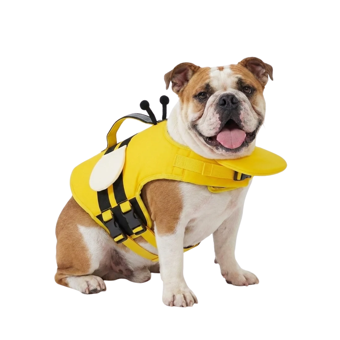 Bouée pour animaux