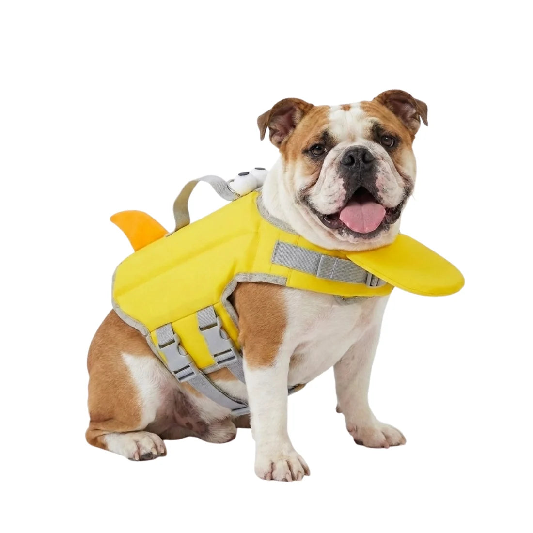 Bouée pour animaux